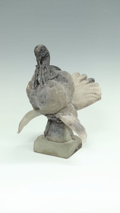 火鸡“Scavo”
火鸡“Scavo” 埃尔曼诺·纳森（Ermanno Nason）、吉诺·切内德塞