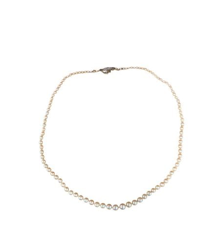 Collar de perlas con cierre, presuntamente de oro 