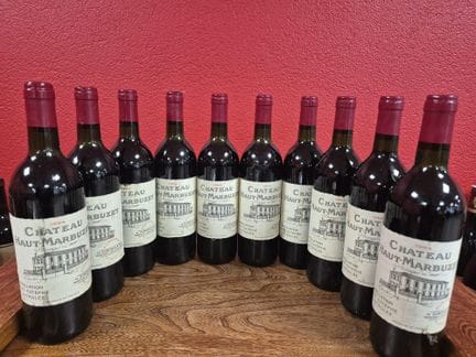 Dix bouteilles de Château Haut Marbuzet 1994


IDF