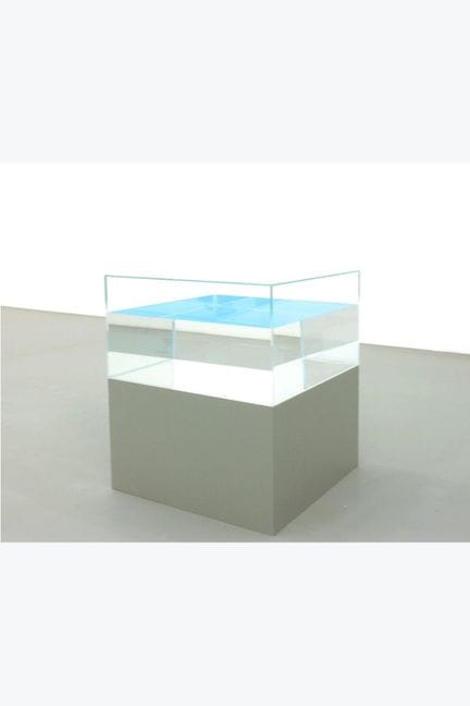 Ann Veronica Janssens (born 1956)
Sweet blue, 2010