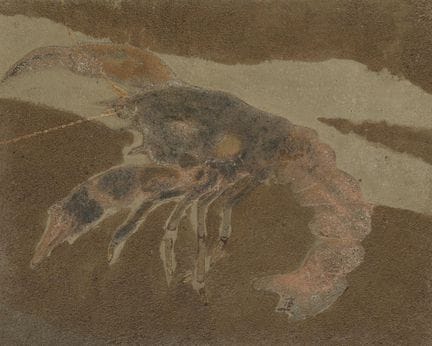 FRANCISCO LEZCANO 
Barcellona (1934) / Las Palmas 