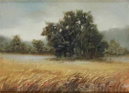 CARLOS MORAGO 
Madrid (1954)
„Ländliche Landschaft