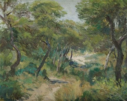 LUIS ARCAS BRAUNER 
Valencia (1934) / Cambridge, I