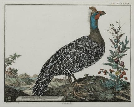 FRANCOIS NICOLAS MARTINET 
Paris, Frankreich (1731