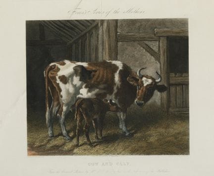 J. HARRIS E W. SUMMERS 
(Inghilterra, XIX secolo)
