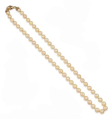 COLLAR CHOKER, PERLAS DE CULTIVO Y CIERRE DE ORO
C