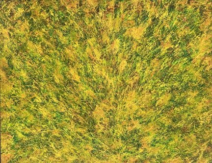 BRUNO PULGA (1922–1992)
Natura, 1983
Period: Natur