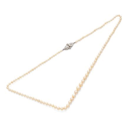 HALSKETTE „FEINE PERLEN“

Kette aus 111 feinen Per