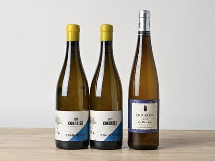 2 B CONDRIEU (1 e.l.a.) - 2020 - Domaine Eymin-Tic