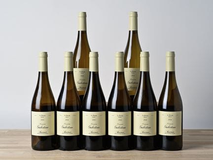 8 B SAMUR BREZE LE BOURG White - 2022 - Domaine Gu