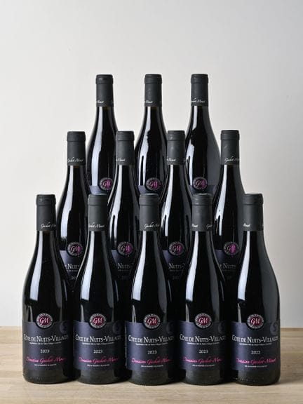12 B CÔTE DE NUITS-VILLAGES - 2023 - Domaine Gacho