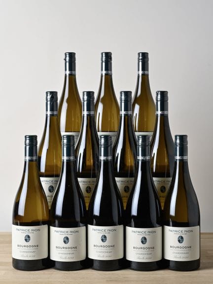 12 B BOURGOGNE CHARDONNAY - 2023 - Domaine Patrice