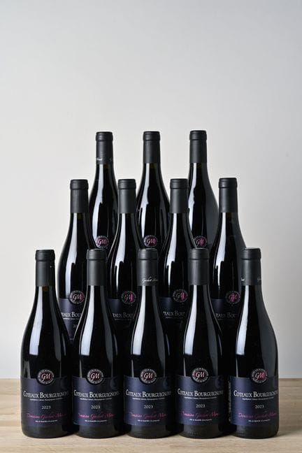 12 B COTEAUX BOURGUIGNONS Red - 2023 - Domaine Gac
