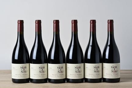 6 B SAUMUR CHAMPIGNY LA MARGINALE - 2022 - Domaine