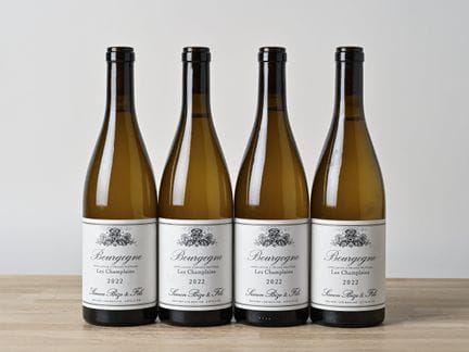 4 B BOURGOGNE LES CHAMPLAINS Blanc (s.c.) - 2022 -