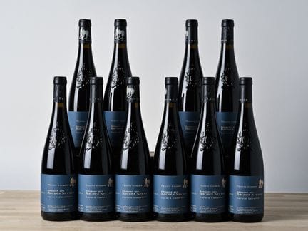 10 B SAUMUR CHAMPIGNY - 2023 - Domaine des Roches 