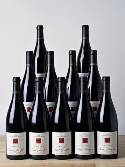 11 B SAINT-JOSEPH TERRES D'ENCRE - 2022 - Domaine 