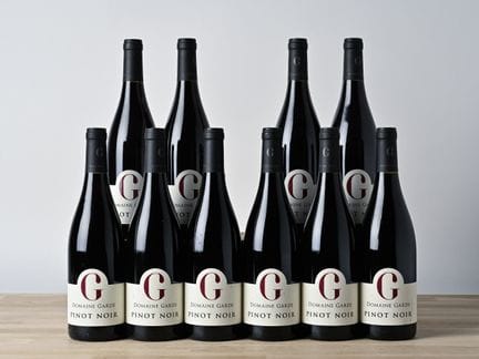 10 B BOURGOGNE CÔTE D'OR PINOT NOIR - 2024 - Domai