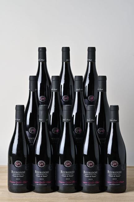 12 B BURGUNDY "CHANT DE MUSES" Red - 2023 - Domain