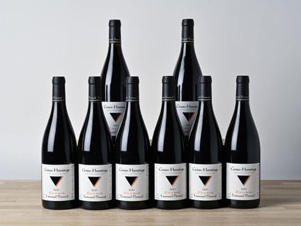 8 B CROZES-HERMITAGE APPETIZER - 2023 - Domaine Em