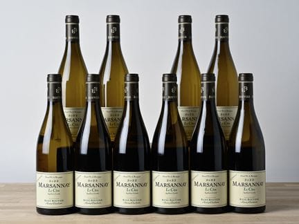 10 B MARSANNAY LE CLOS White - 2022 - Domaine Bouv