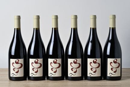 6 B SAUMUR CHAMPIGNY LES DARES - 2020 - Domaine Sa