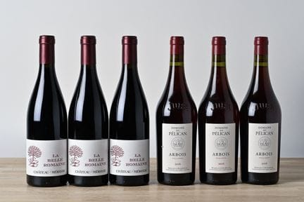 3 B ARBOIS POULSARD (1st growth) - 2016 - Domaine 