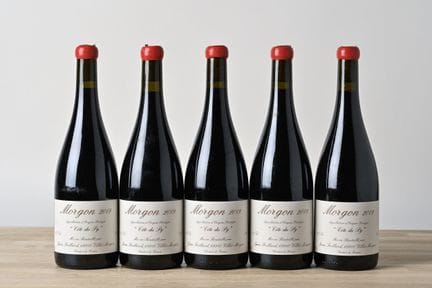 5 B MORGON CÔTE DU PY (1st growth) - 2019 - Domain