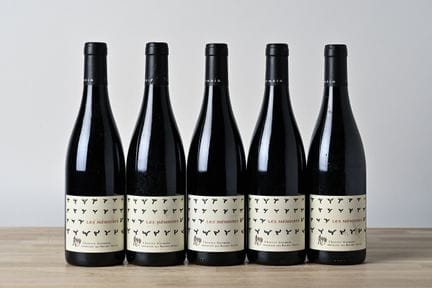 5 B SAUMUR CHAMPIGNY LES MEMOIRES - 2020 - Domaine