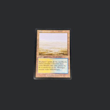Magic: The Gathering: Flooded Shore

Flooded Shore