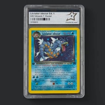 Pokémon: Gyarados 

Dark Gyarados Holo 8/82 Team R