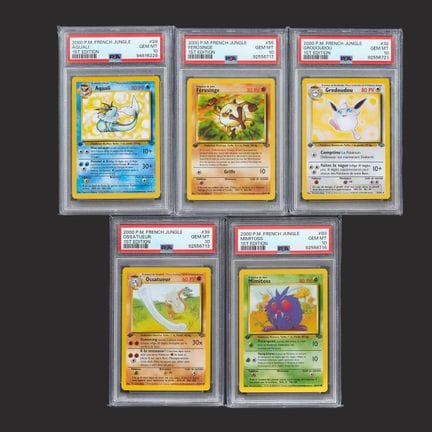 Pokémon: Jungle

A set of 11 French Pokémon Jungle