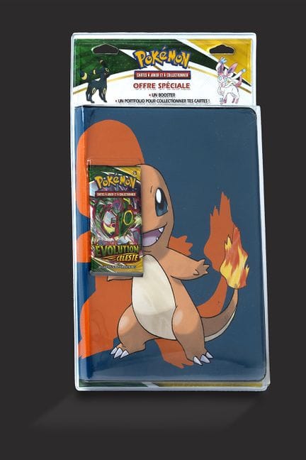 Pokémon: EB 07 Portfolio—Charmander, Noctali, and 