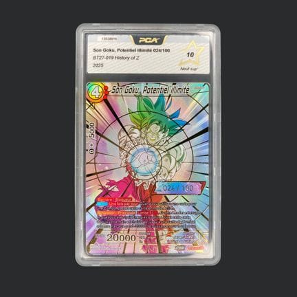 DRAGON BALL Z - Son Goku (Numbered Edition)

Son G