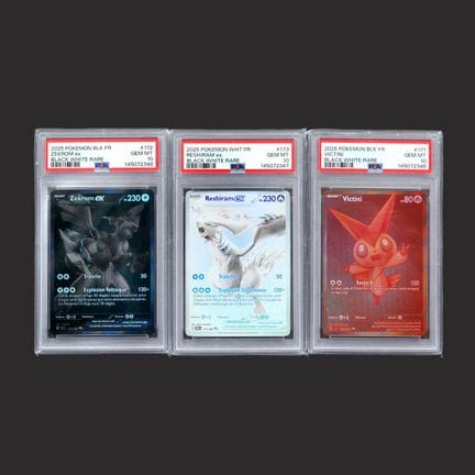 Pokémon: Black Lightning and White Flame

A set of