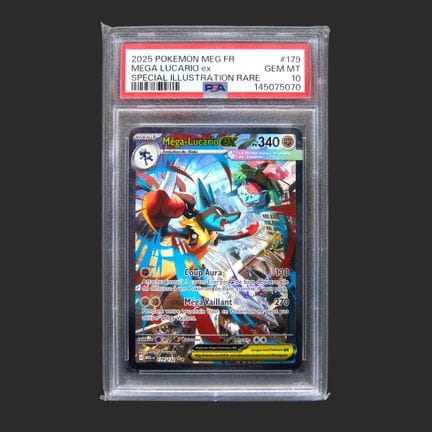 Pokémon: Mega Lucario Ex

Mega Lucario Ex 179/132 