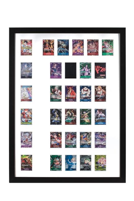 One Piece: Winner 2023 Promo Collection

Language: