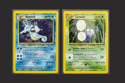 Pokémon: Hyporoi and Cotovol

Neo Genesis Conditio