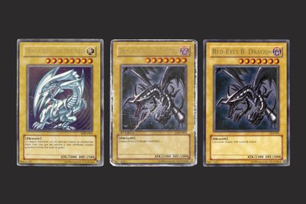 Yu-Gi-Oh!: Dragons

Set of 3 cards

Language: Fren