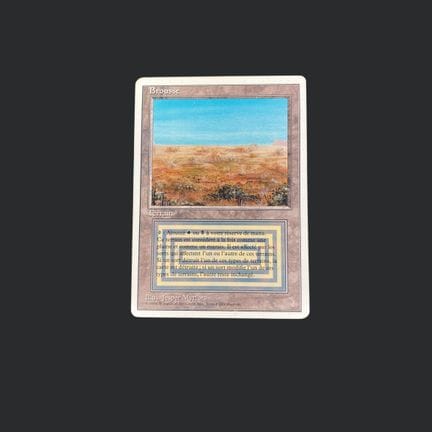 Magic: The Gathering: Brousse

Brousse Condition: 
