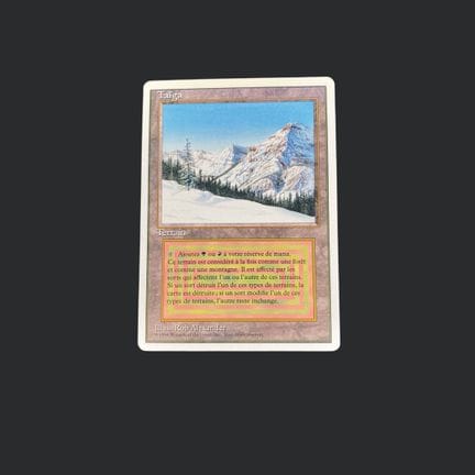 Magic: The Gathering: Taiga

Taiga

Language: Fren