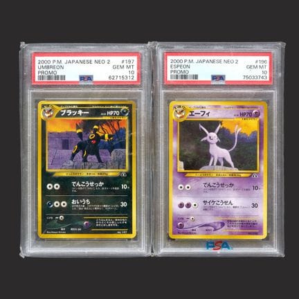Pokémon: Unnumbered Promos

A set of 2 Japanese Un
