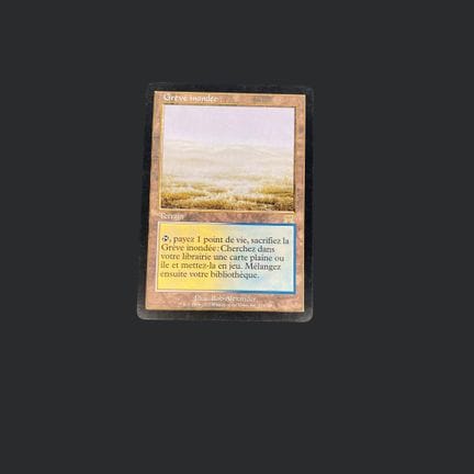Magic: The Gathering: Flooded Shore

Flooded Shore