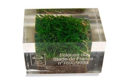 1 sample of the turf from the Stade de France

Und