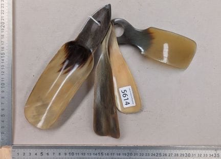 4 Chausse-pieds en corne naturelle ,1900 - Dimensi