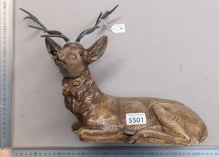 Un magnifique cerf C 68334 - Dimensions et état vo