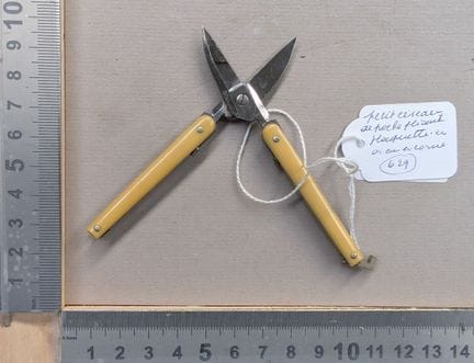 Petit ciseau de poche pliant, plaquette en os ou c