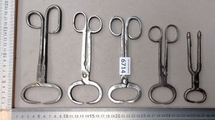 5 pinces casse sucre ancienne XIX - Dimensions et 