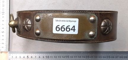 1 vintage copper-colored leather dog collar with a