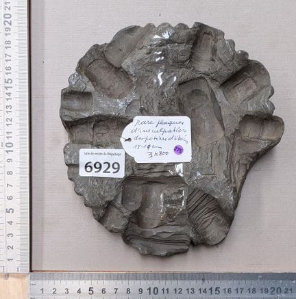 Rare plaque d'insculpation des potiers en étain 3k